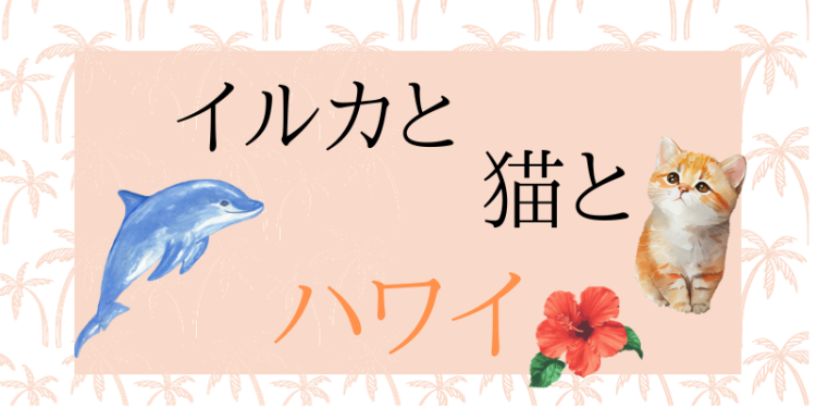 イルカと猫とハワイ